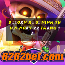 dự đoán xổ số ninh thuận ngày 22 tháng 12