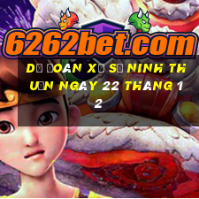 dự đoán xổ số ninh thuận ngày 22 tháng 12