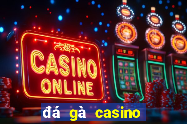 đá gà casino mới nhất