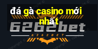 đá gà casino mới nhất