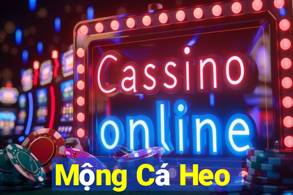 Mộng Cá Heo