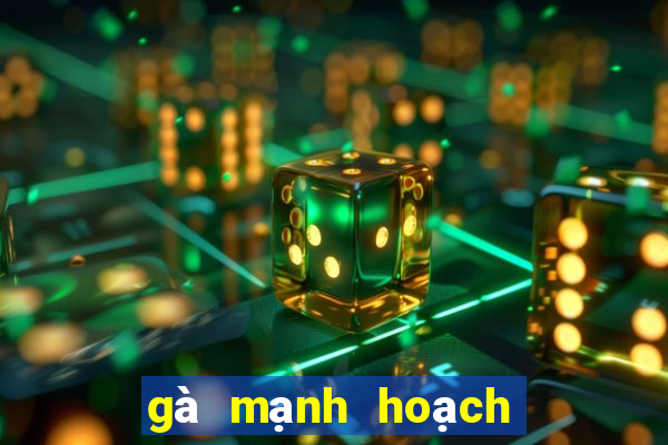 gà mạnh hoạch từ sơn