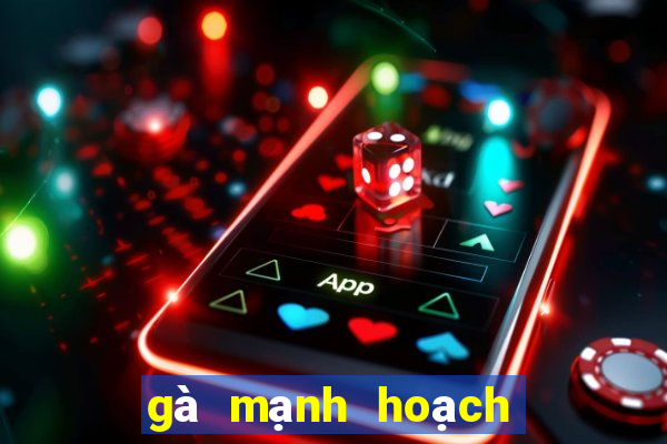 gà mạnh hoạch từ sơn