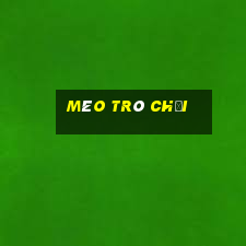 mèo trò chơi