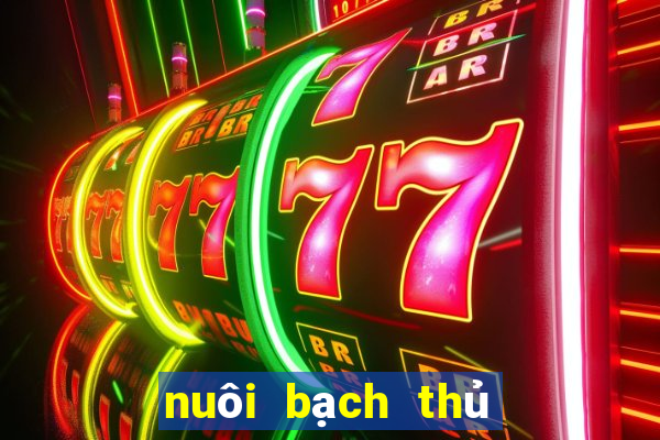 nuôi bạch thủ lô 1 ngày