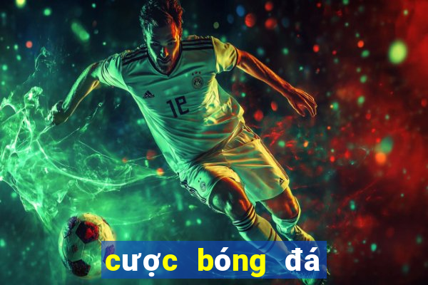 cược bóng đá world cup