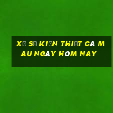 xổ số kiến thiết cà mau ngày hôm nay