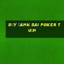 dạy đánh bài poker tuấn