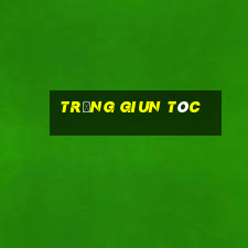 trứng giun tóc