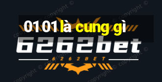 01 01 là cung gì