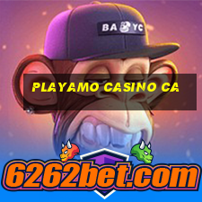 playamo casino ca