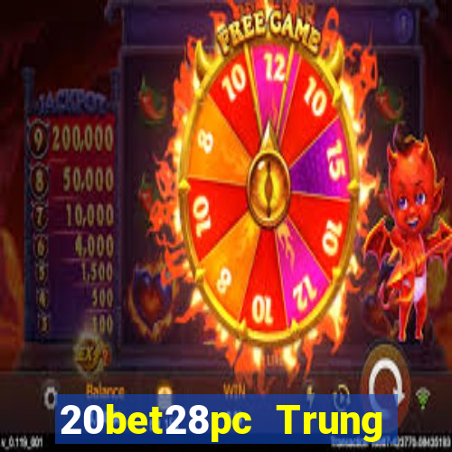 20bet28pc Trung thực 28 chiếc