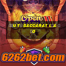 Đầu từ Baccarat lừa đảo