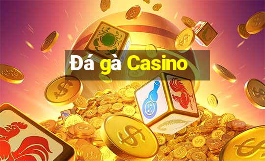 Đá gà Casino