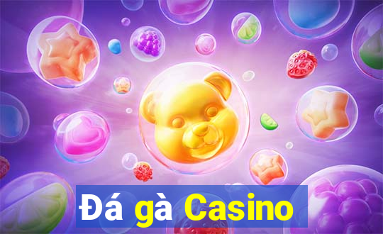 Đá gà Casino