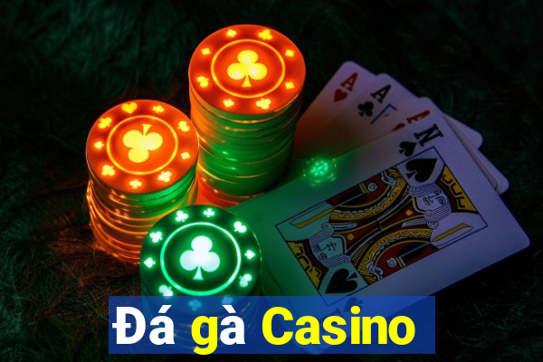 Đá gà Casino