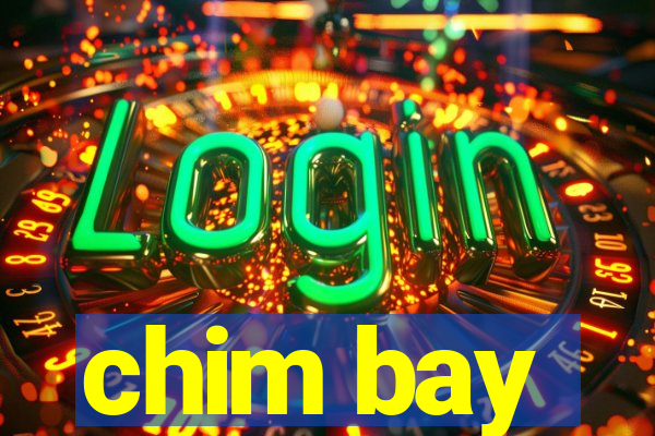 chim bay