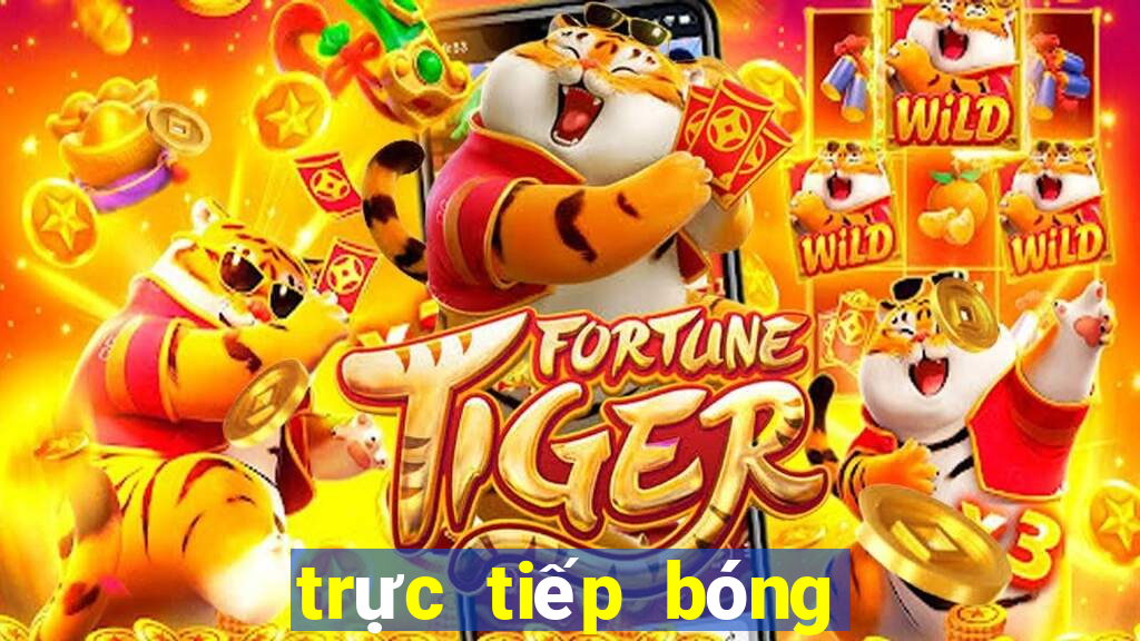 trực tiếp bóng đá 24h