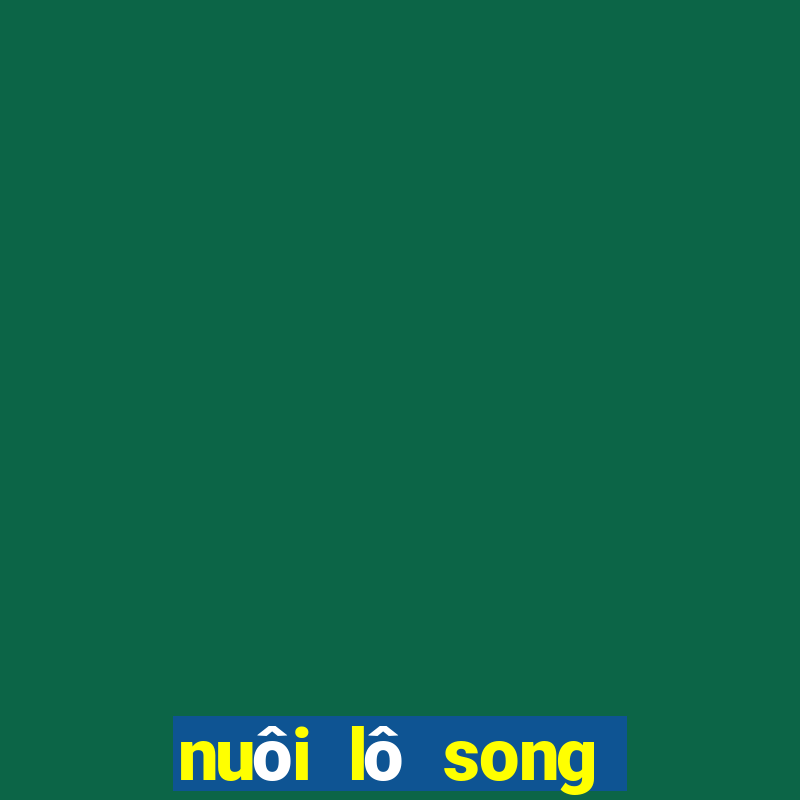 nuôi lô song thủ khung 5 ngày