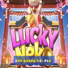 ảnh quang hải đẹp