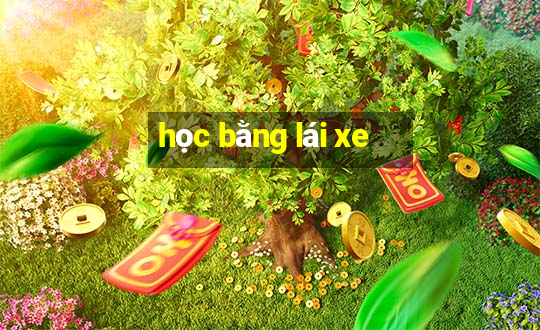 học bằng lái xe