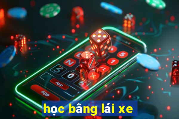 học bằng lái xe