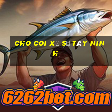 cho coi xổ số tây ninh