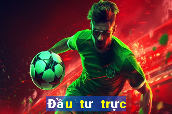 Đầu tư trực tuyến Bole