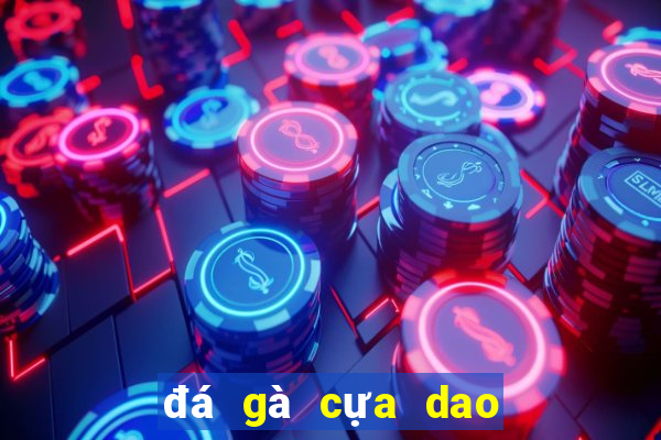 đá gà cựa dao của mỹ