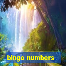 bingo numbers