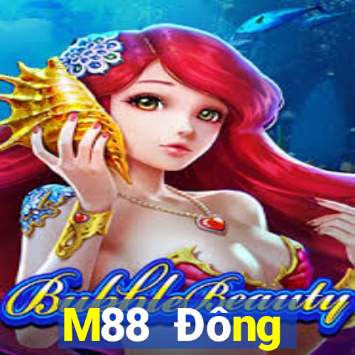 M88 Đông Thượng Hải Xiaoyou Chơi game bài