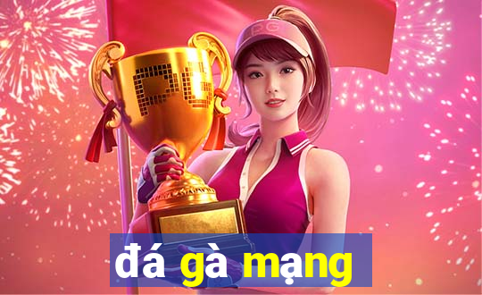 đá gà mạng