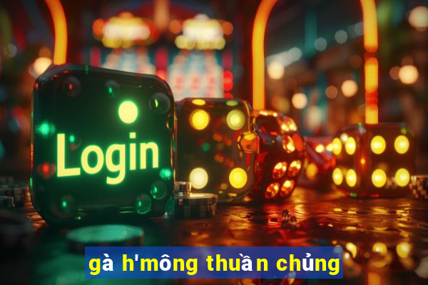 gà h'mông thuần chủng