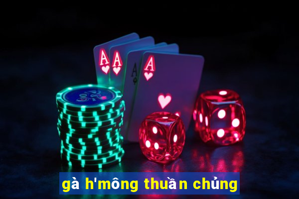 gà h'mông thuần chủng