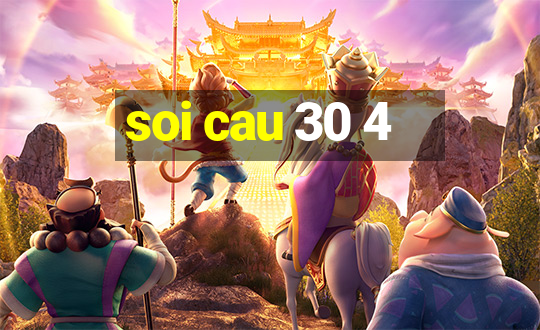 soi cau 30 4