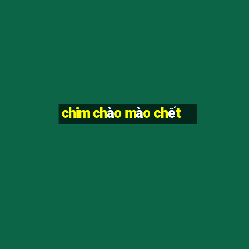 chim chào mào chết