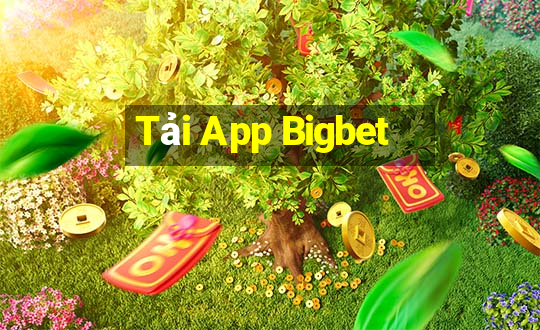 Tải App Bigbet