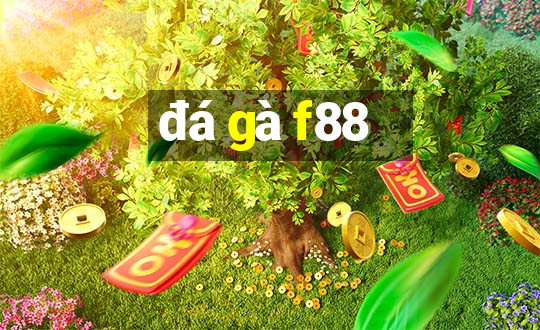 đá gà f88