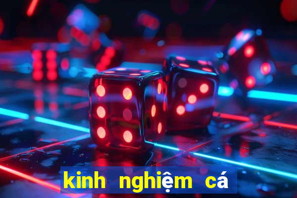 kinh nghiệm cá cược bóng đá