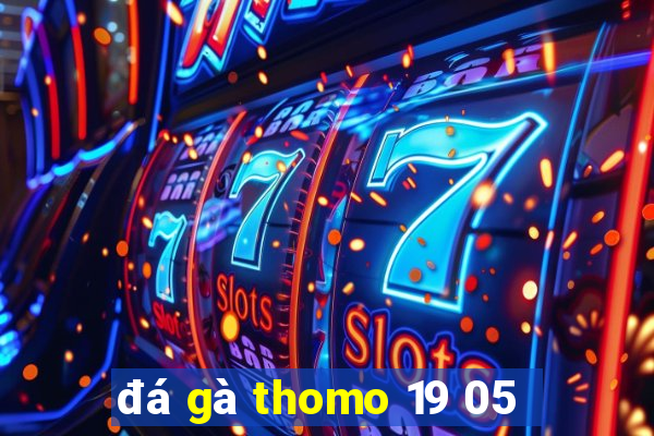 đá gà thomo 19 05