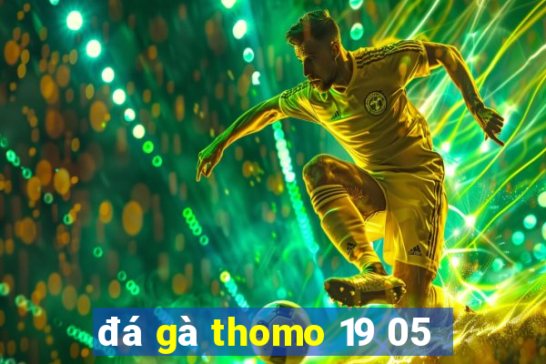 đá gà thomo 19 05