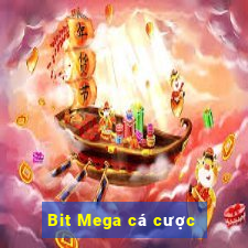 Bit Mega cá cược