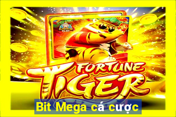 Bit Mega cá cược