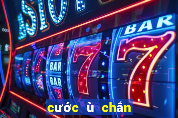 cước ù chắn hoa rơi cửa phật