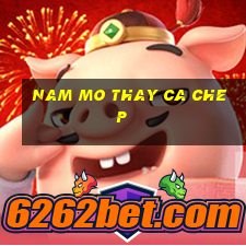 nam mo thay ca chep