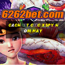 Cách đặt cược XSPY hôm nay