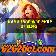 Hàng trăm giấy phép bổ sung