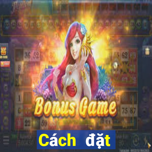 Cách đặt cược XSHP ngày 20