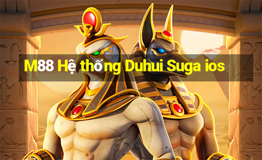 M88 Hệ thống Duhui Suga ios