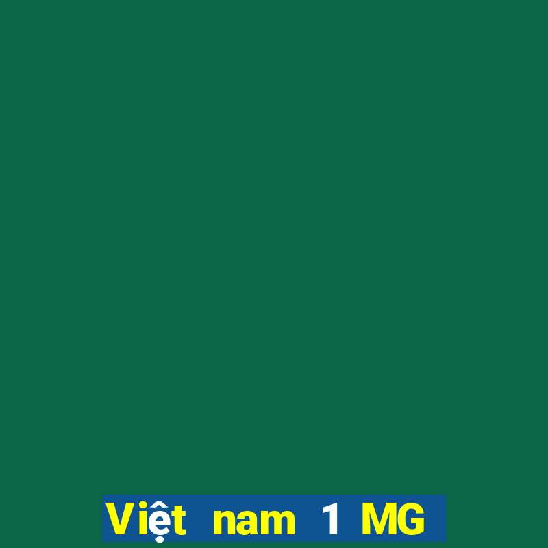 Việt nam 1 MG điện tử